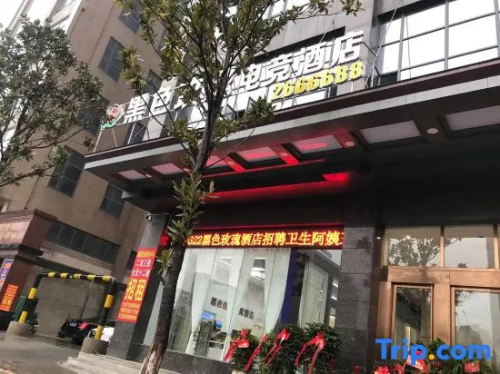 Shaodong Black Rose E-sports Hotel