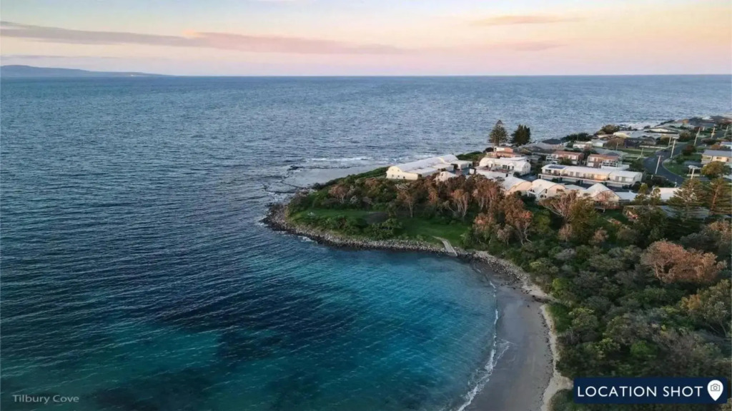 The Penguins Head - across from the beach