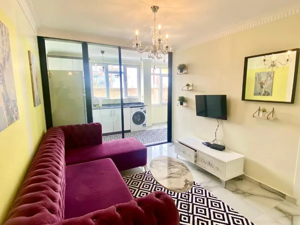 JAZZY LUXURIOUS FAMILY HOMES 100 Mb Wi-Fi