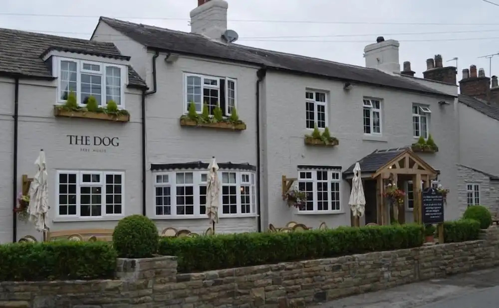The Dog in Over Peover