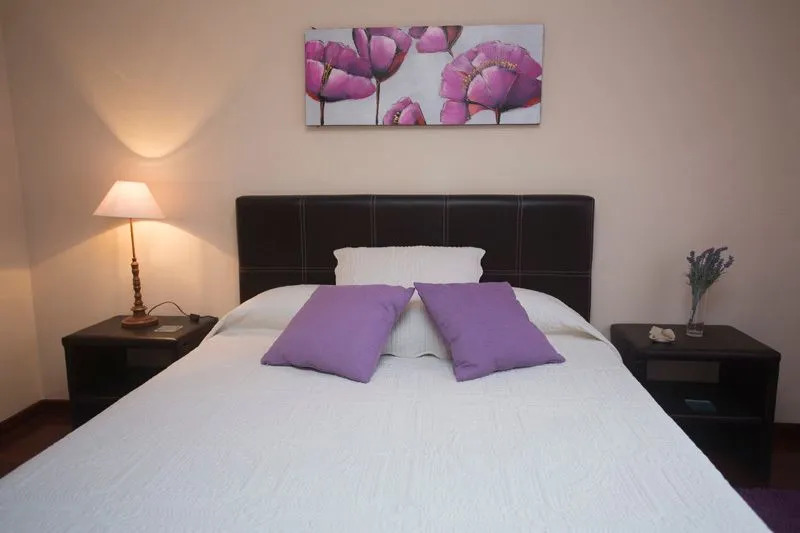 Apartment in Santiago de Compostela 100698