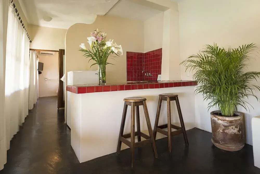 Villas Carrizalillo