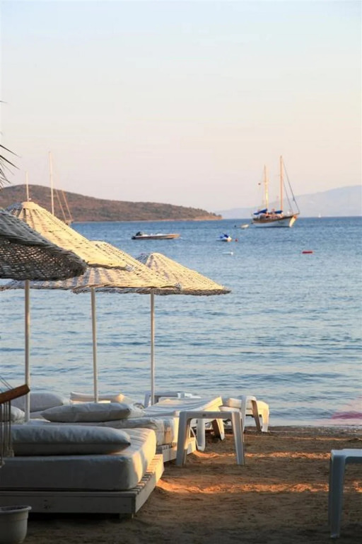 Okaliptus Otel