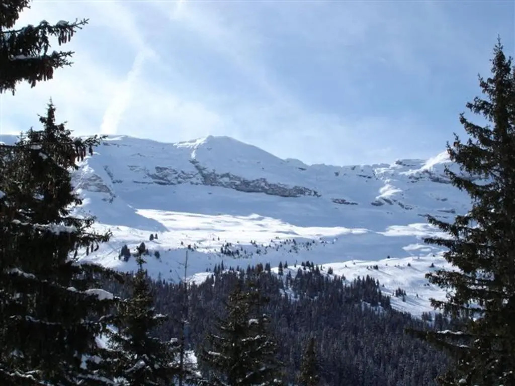 Appartement Flaine, 2 pièces, 5 personnes - FR-1-425-173