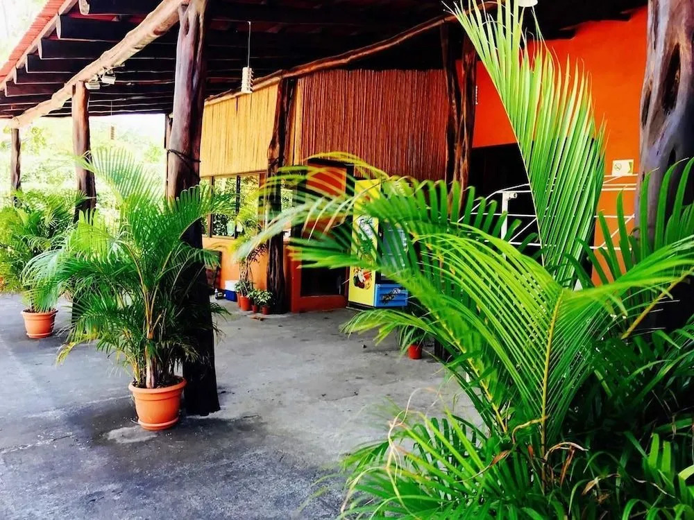 Tsunami Hostel