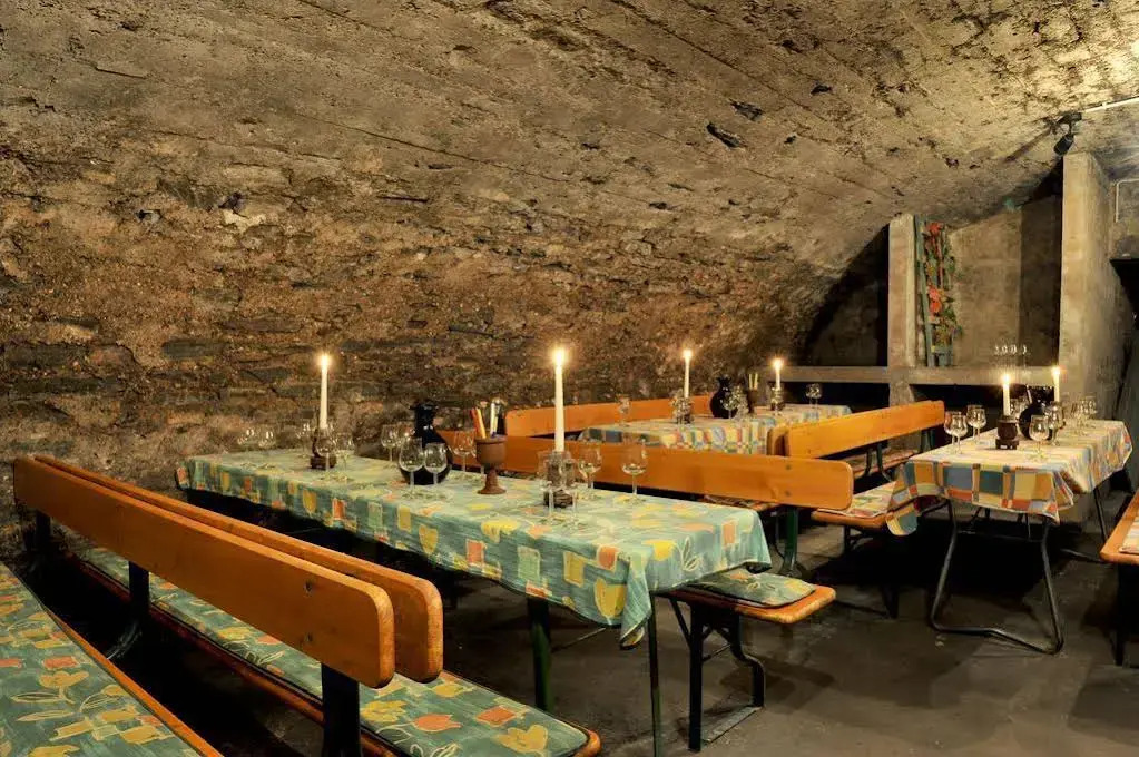 Winzerhotel zum Moselstrand