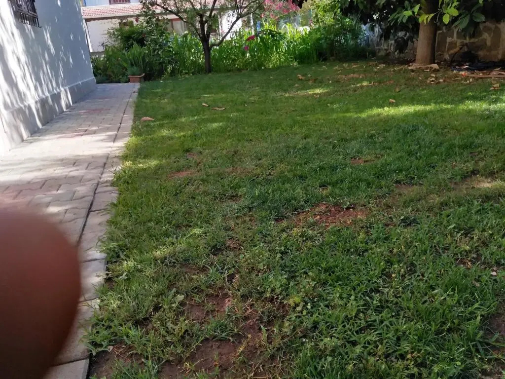 Fethiye Çalışta Plaja yakın Özel Havuzlu Lüx Villa