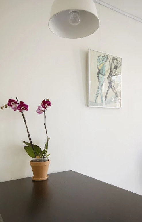 Bright & Great Apartment In Jordaan Area