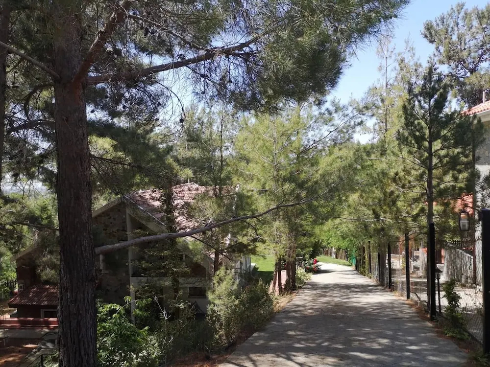 Villa Enriette - Panoramic Mountain Retreat in Pano Platres, Cyprus