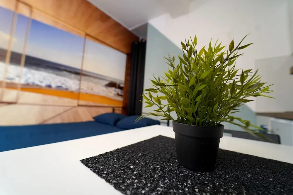 Capsule Studio Beach Valenciennes