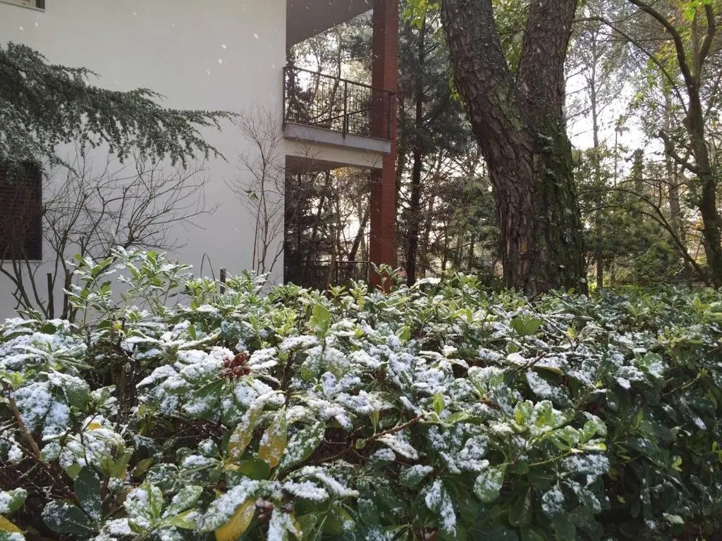 Villa sull'Etna immersa nel bosco