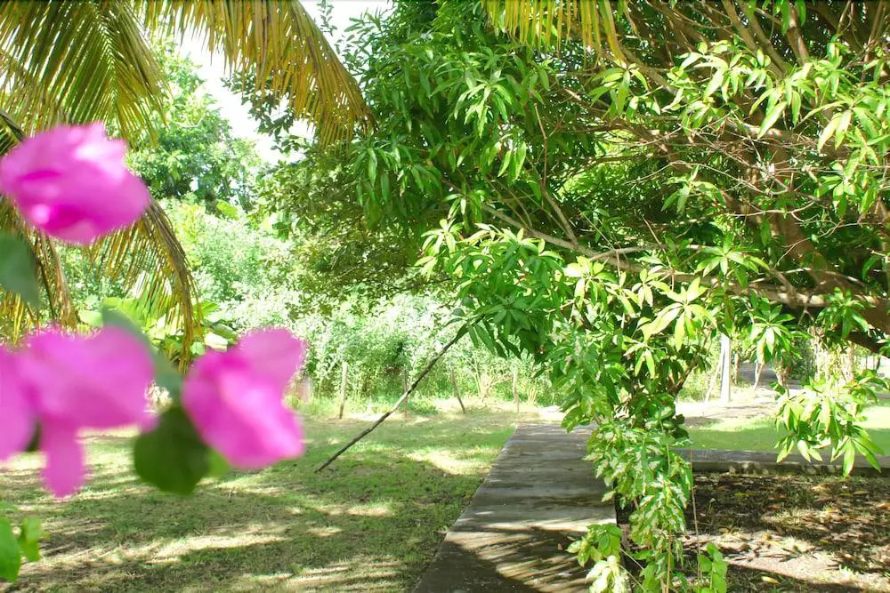 Au Jardin Debeauséjour