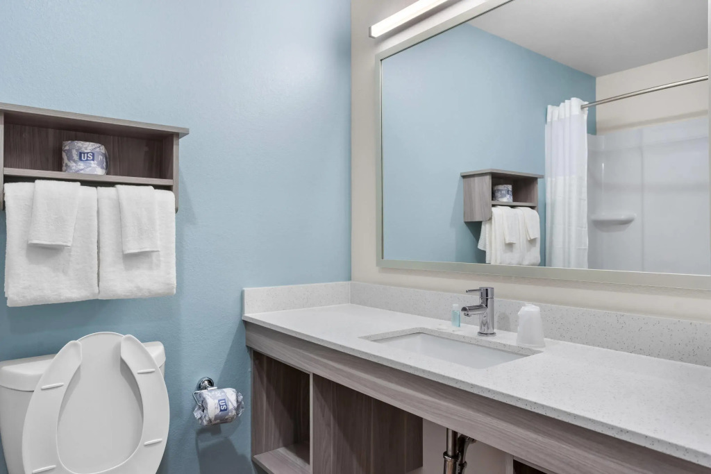 WoodSpring Suites Savannah West - Ellabell Metaplant