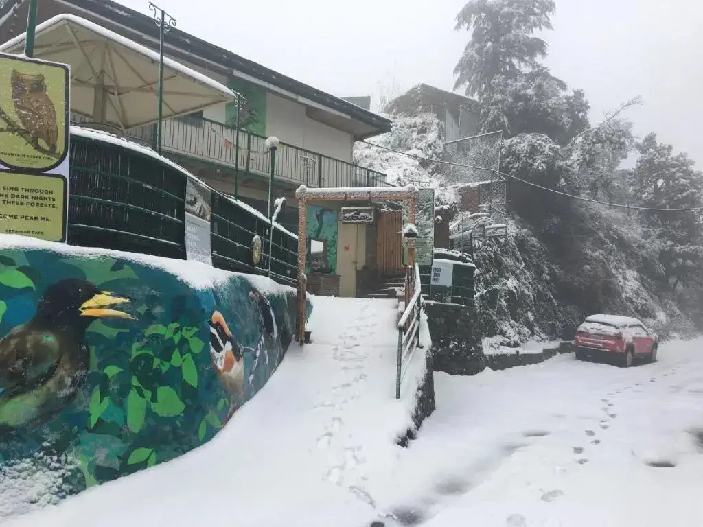 Seegreen Lodges