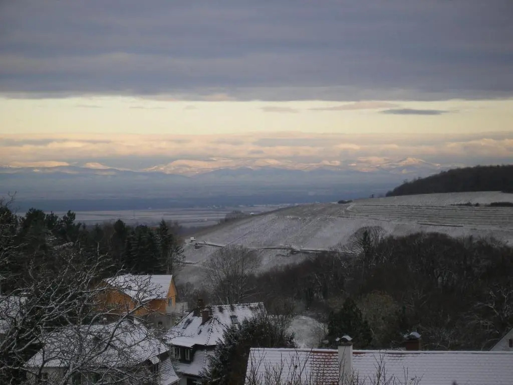 Appartment Vogesen