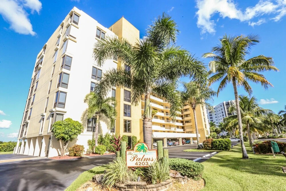 Palms 3A
