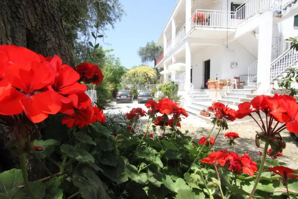 Angeliki Studio & Apartment