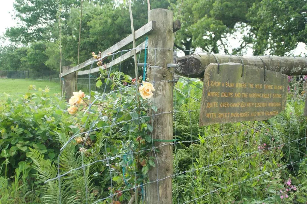 The Old Deer House