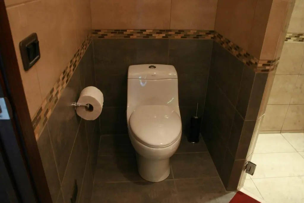 Oasi