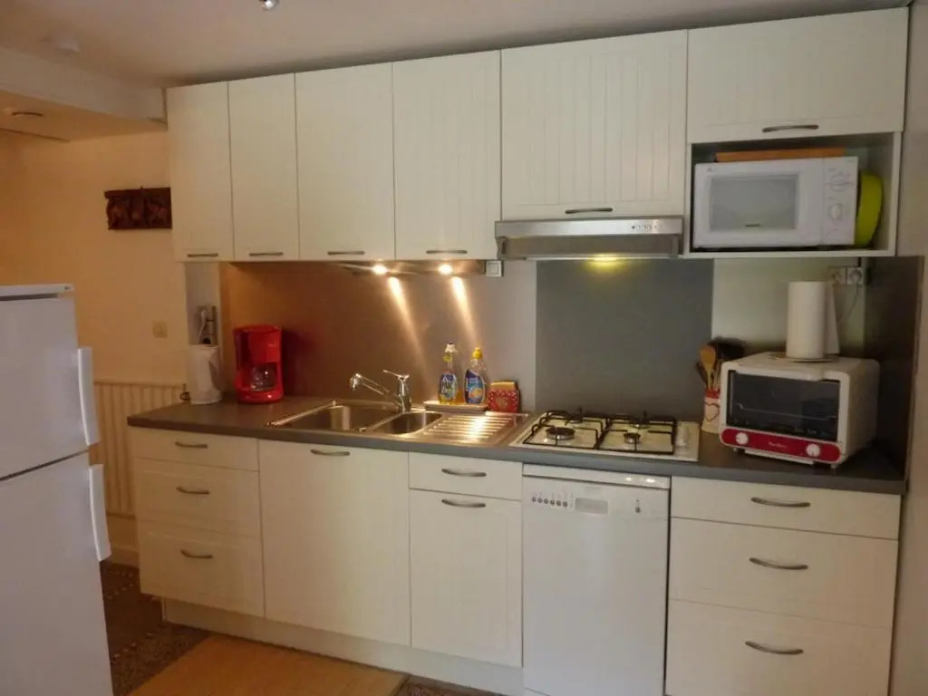 Maison au Mont-Dore avec jardin clos, idéale pour 10 personnes - FR-1-608-120