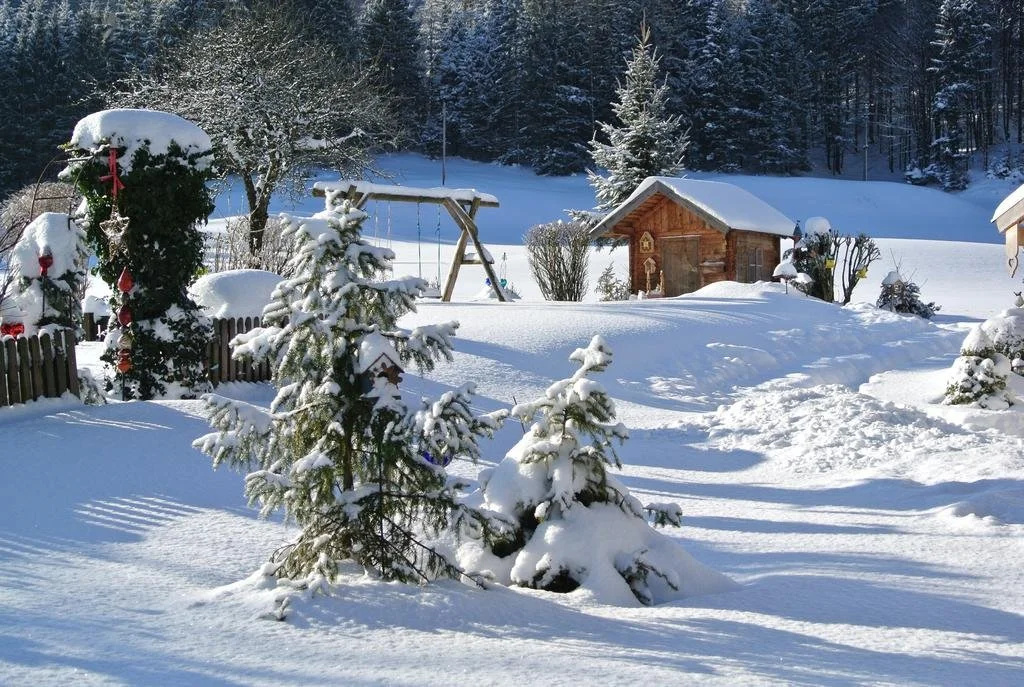Treindlhof