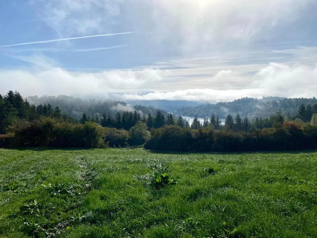 La Petite Marmite du lac