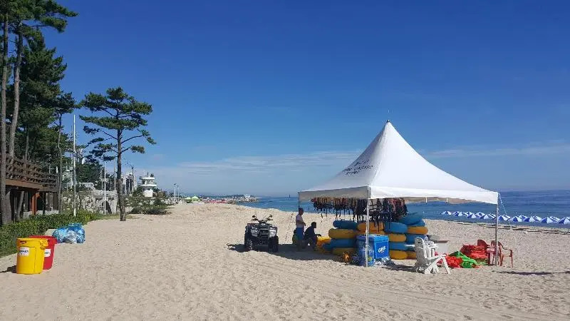 The Hotel Business Gangneung