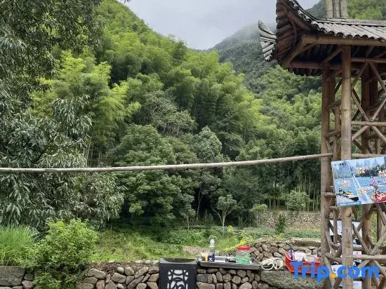 liu shu
