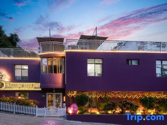 Summer Tree Inn