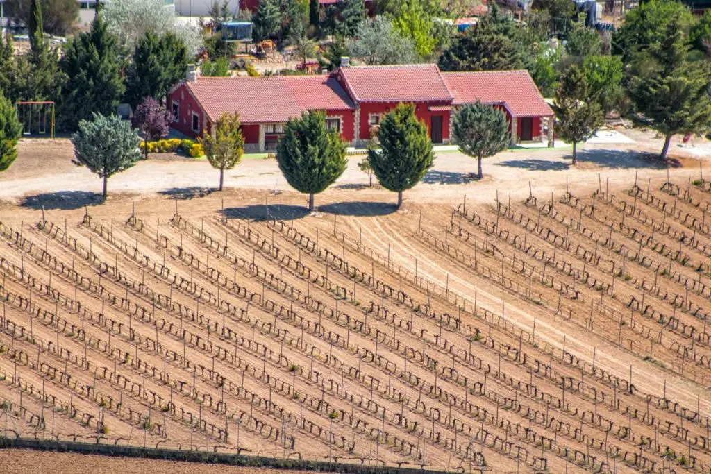 FINCA ENTREVIÑEDOS de Bodegas Marcos