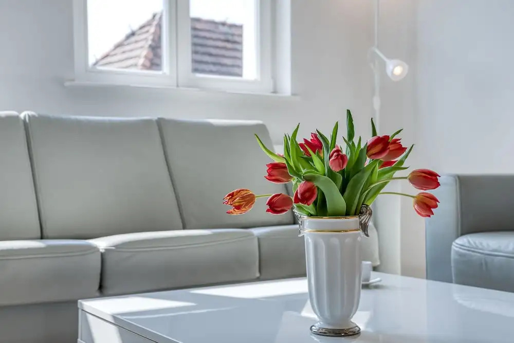 Holy Luksusowy Apartament Poznan Centrum