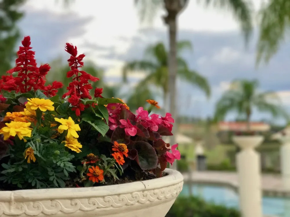 Encantada Resort 4 Bedrooms Near Disney in Orlando FL 3050