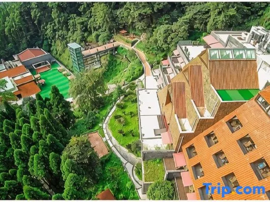 Thinking Land Lingyan Forest hotel