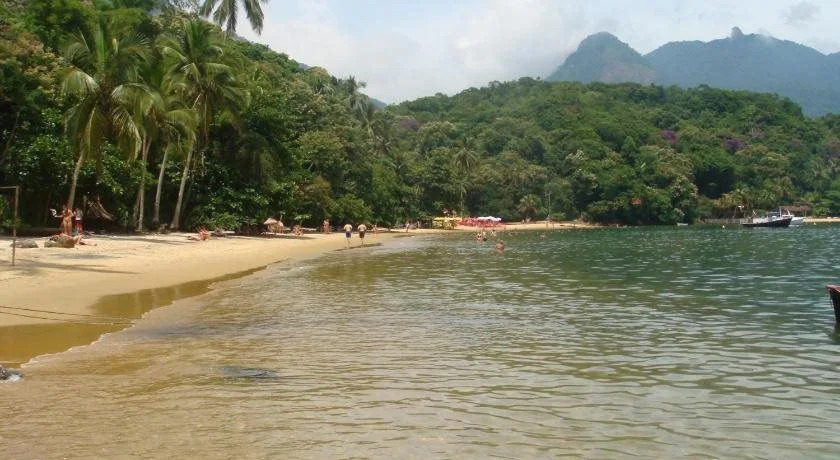 Floresta Acústica