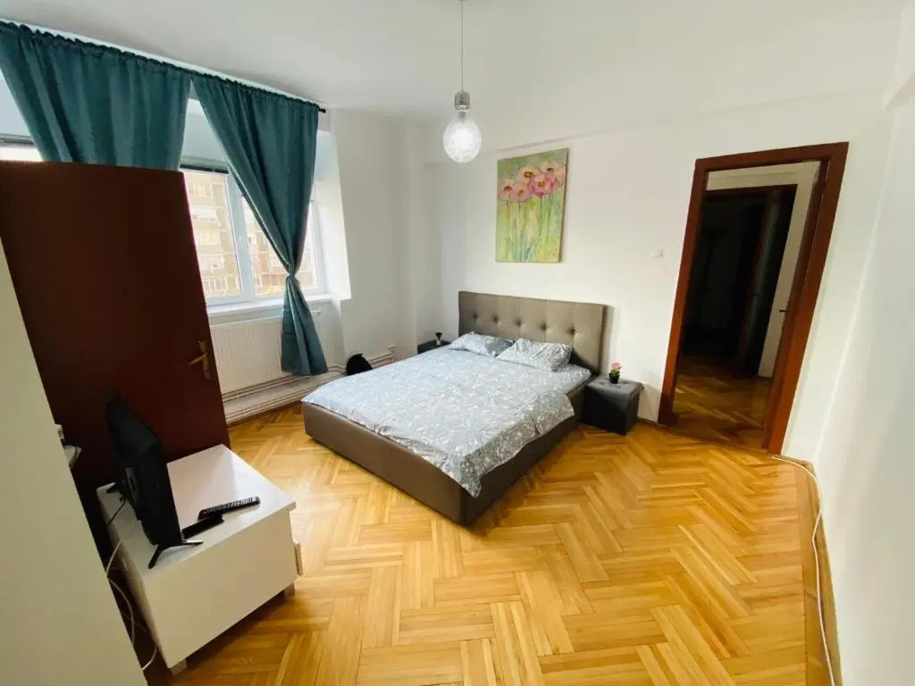 Unirii Downtown Apartment