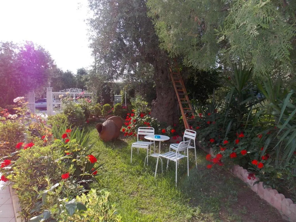 Ioli Apartments