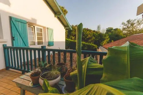 JOYU SURF SHACK