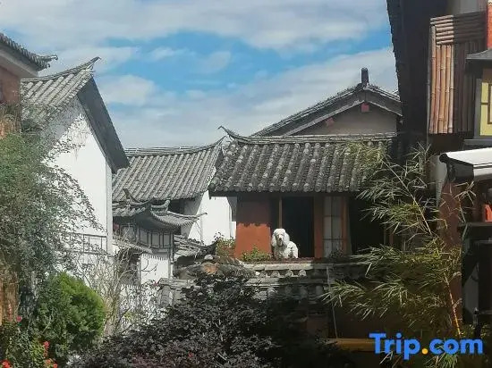 Shaxi Ancient Town Free Hand Star Picking Homestay