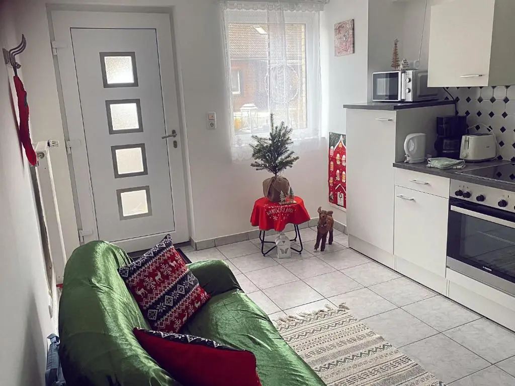 Beautiful 1-bed House in Altenau