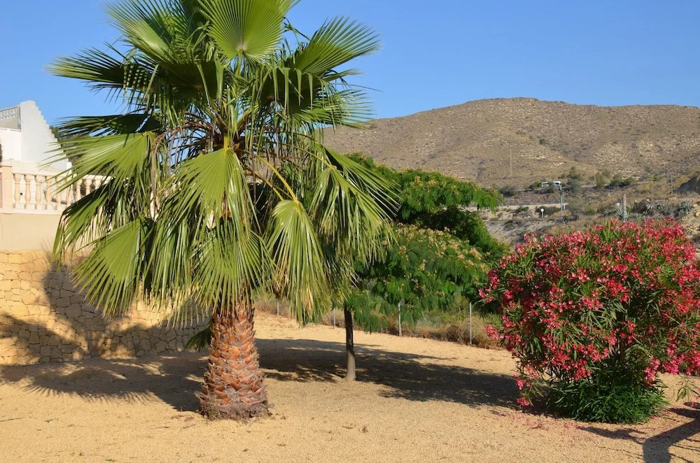 House With 4 Bedrooms in El Campello, With Wonderful sea View, Private