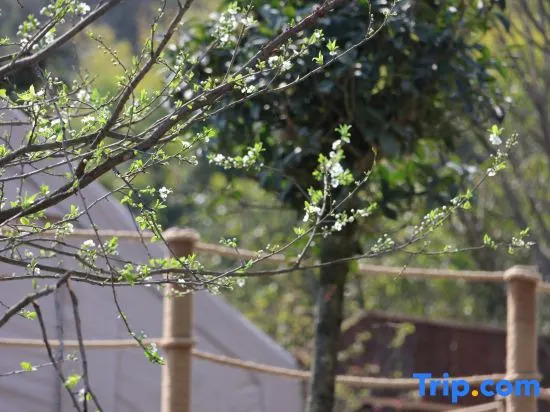 Yunfuli Yunsu·Yidao Qingcheng·camping Mountain Private Hot Spring B&B