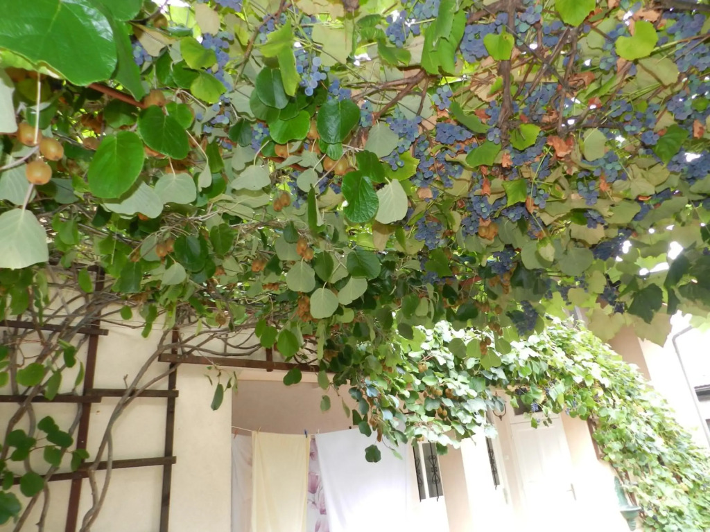Nice apartment with free car parking, WiFi and bikes for free