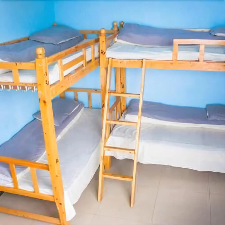 Time Flies Hostel