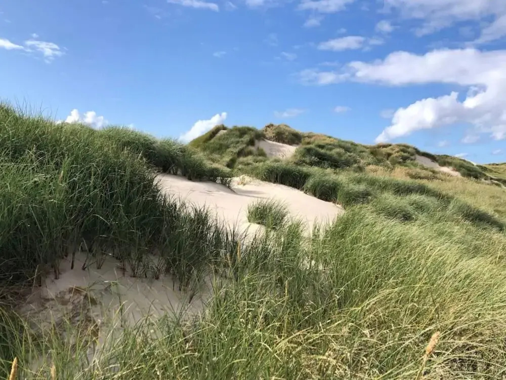 2 Person Holiday Home in Vejers Strand