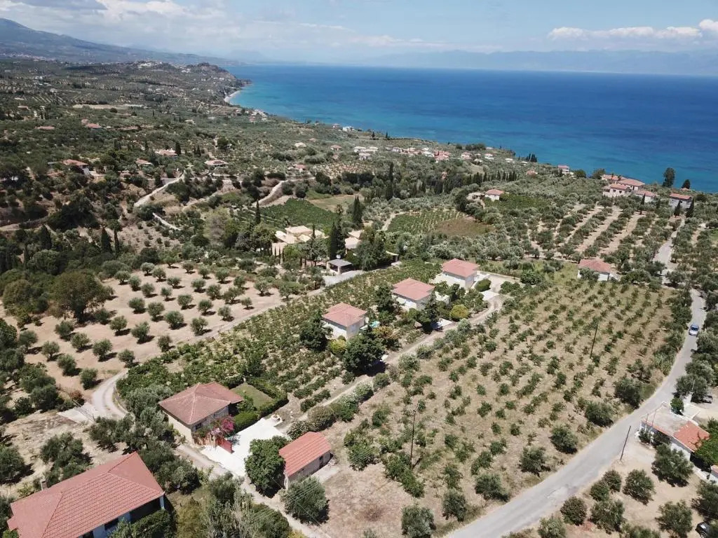 Orfanos 4