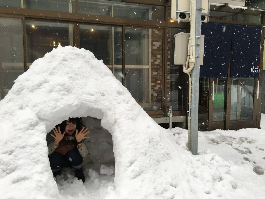 Guest House Wagayado -Hale- Sapporo