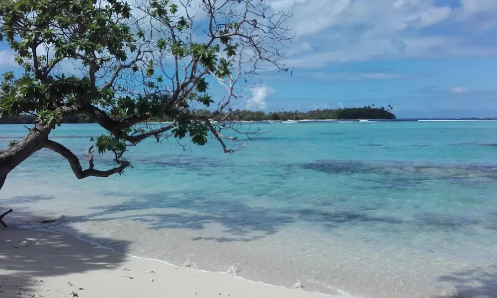 B&B Nature Song Island