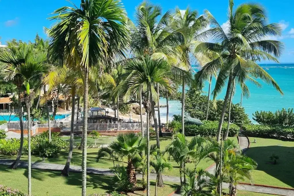 "Aimé Gwada", appartement à 40m de la plage, Rez-de-jardin tropical