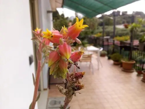 Casa Vacanze Terme