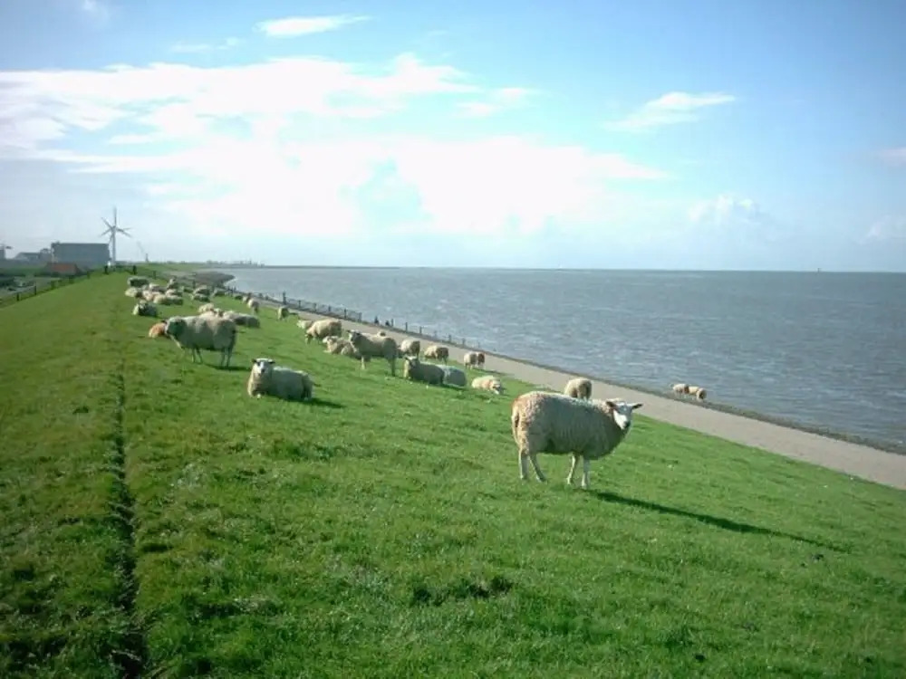Chalet in Friesland Near Wadden Sea
